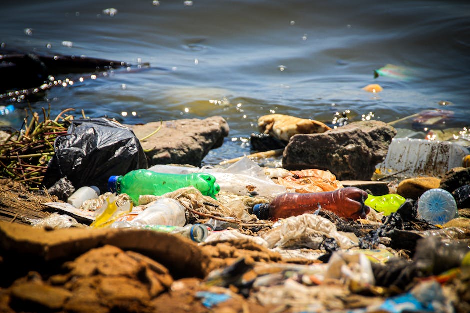 Little Venice rubbish removal tips for Maida Vale homes