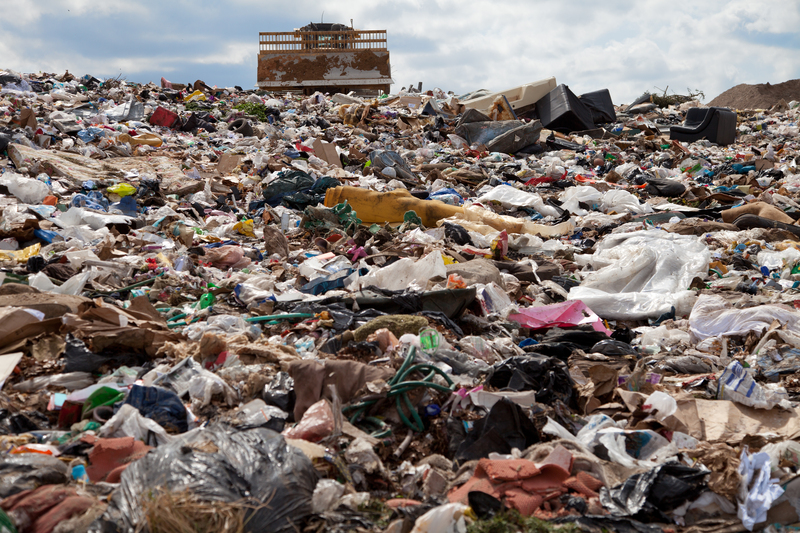 Top 10 Strategies for Minimizing Green Waste